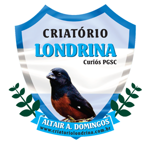 Criatório Londrina - Curió Praia Clássico - Londrina/PR